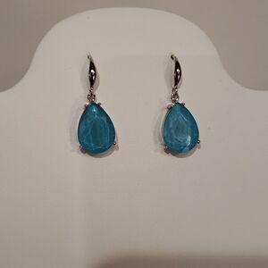 BLUE Drop Down Costume Jewelry Earrings NWOT